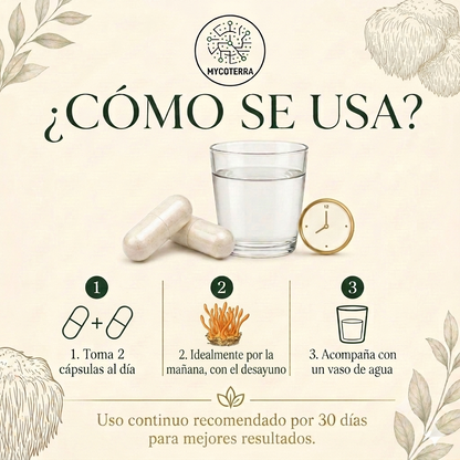 Cómo se usa Cordyceps