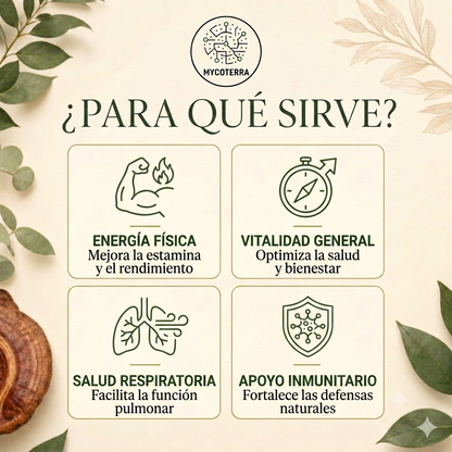 Para qué sirve Cordyceps
