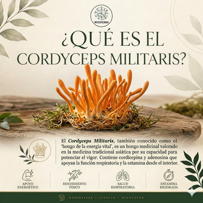 Qué es Cordyceps