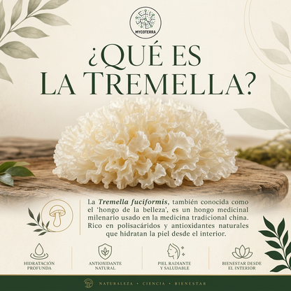 TREMELLA FUCIFORMIS– HIDRATACION Y BELLEZA NATURAL| 60 Cápsulas x 400mg ®